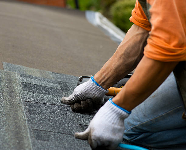 Roof Gutter Cleaning in Level Park Oak Park, MI