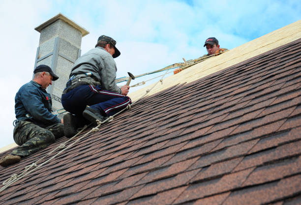 Best Metal Roofing Contractor  in Level Park Oak Park, MI